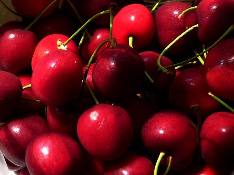 Staccato Cherries
